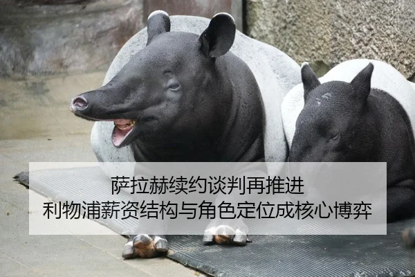 萨拉赫续约谈判再推进 利物浦薪资结构与角色定位成核心博弈